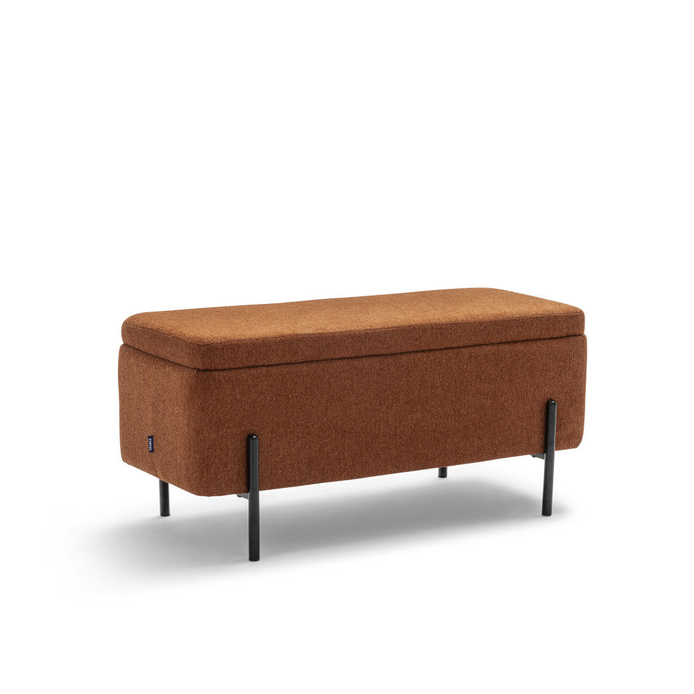 Banc de Rangement